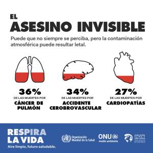 BreatheLife 2030 Infographic 01 Spanish2